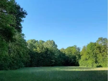 recherche terrain à bâtir