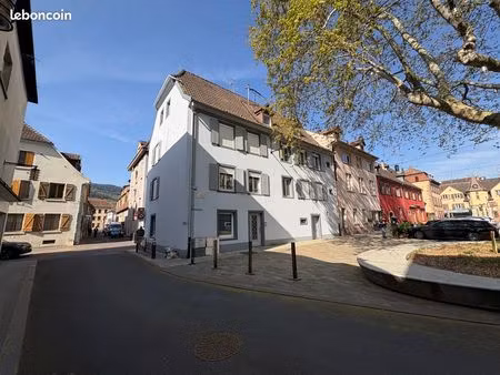 immeuble 213 m² guebwiller