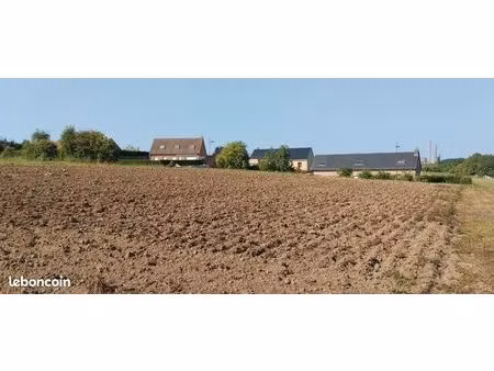 terrain constructible