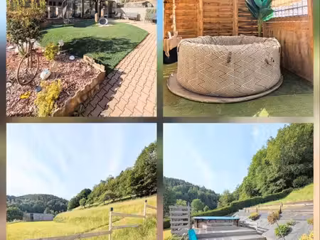 magnifique maison avec appartement indépendant  piscine et grand terrain