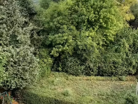 terrain à vendre