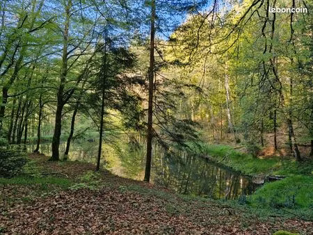 foret avec 3 etangs