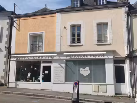 immeuble de rapport – 200 m² – rentabilité immédiate – mayenne (quartier st-martin)