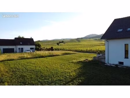 rare à bergheim – cadre privilégié – terrain constructible 7 ares – vue imprenable