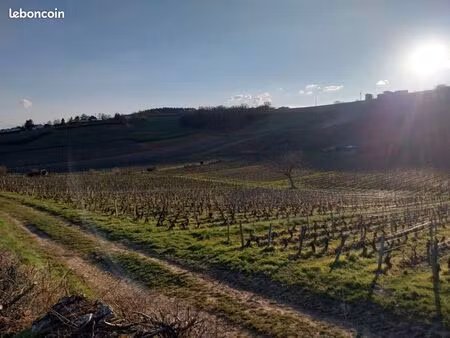 terrain constructible viabilisé – 800 m² – vue exceptionnelle – 1