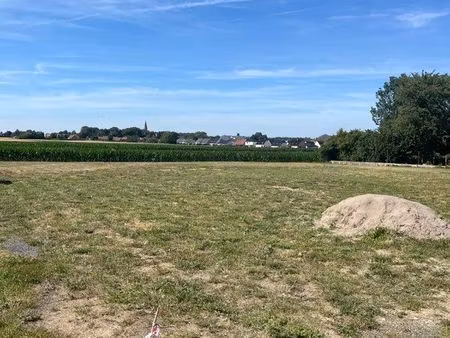 terrain constructible
