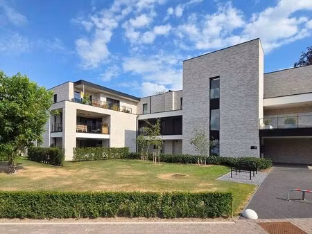 appartement à louer à bree € 1.200 (lpzq3) - roosen dirkx | zimmo