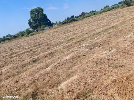 terrain agricole