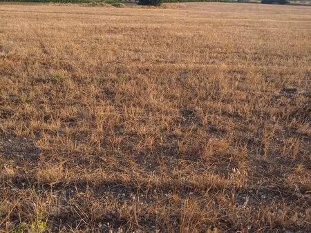 terrain viticole irrigable baixas