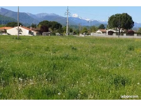 terrain constructible