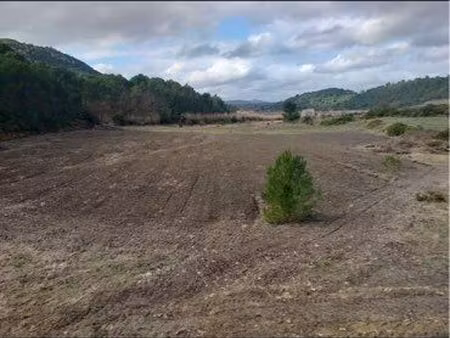 terrain agricole