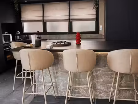 loft/atelier/surface 5 pièces 193 m²