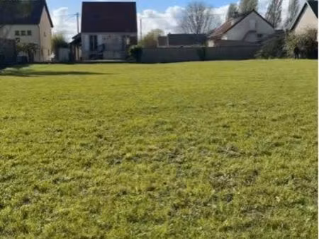 terrain constructible