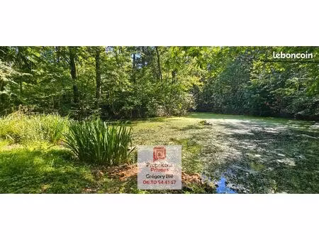forêt 96 594 m² la ferte sous jouarre
