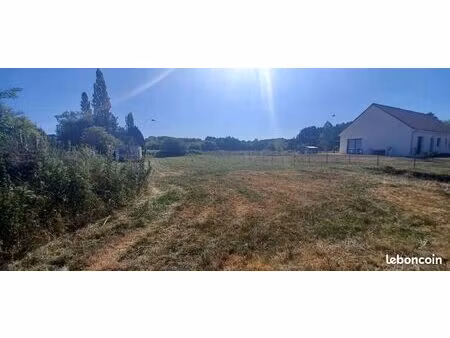 terrain constructible
