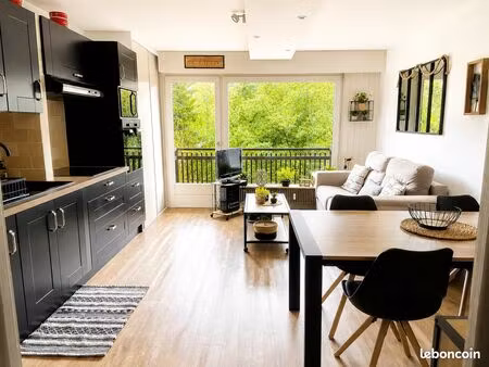 appartement entièrement rénové – 30 m² – balcon exposé sud/ouest – côté pistes