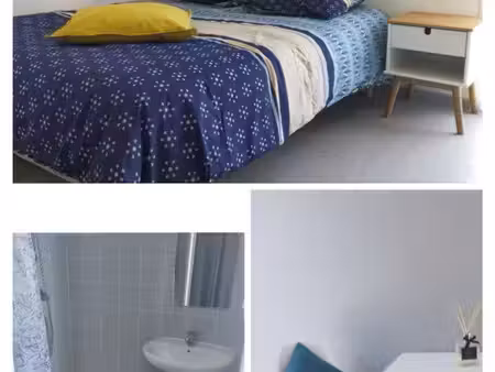 chambre individuelle avec sdb dans grande maison avec jardin