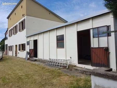 grande maison au vert avec dépendance à finir de rénover