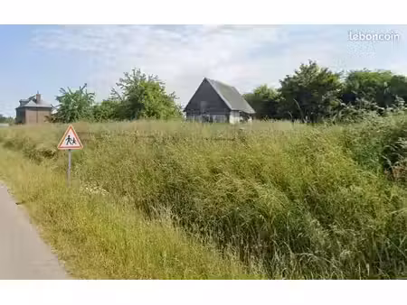 terrain constructible à cropus