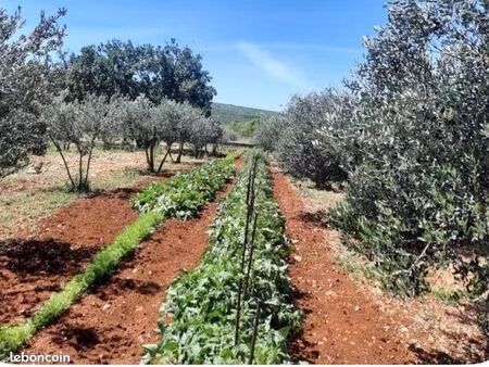 recherche terrain agricole