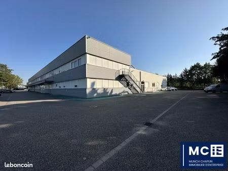 local d'activite 696 m² mundolsheim