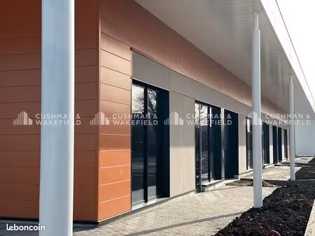 local 153 m²