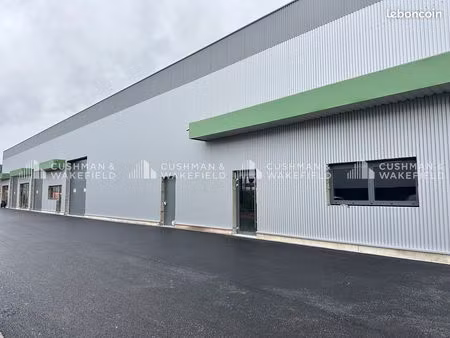 local 150 m²