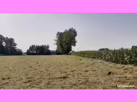 terrain 583 m² saint jean du cardonnay