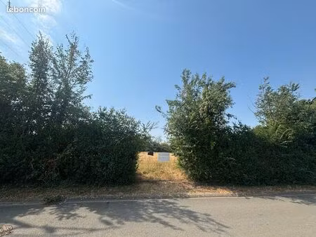 terrain constructible