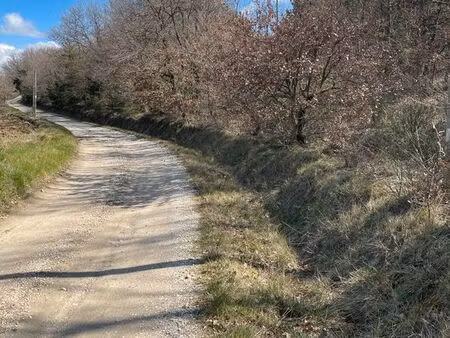 a proximité de valreas - 84  vends un petit bois de presque 3 ha