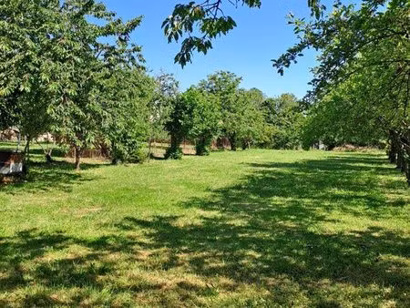 vends beau terrain constructible de 1225m2 à dissay