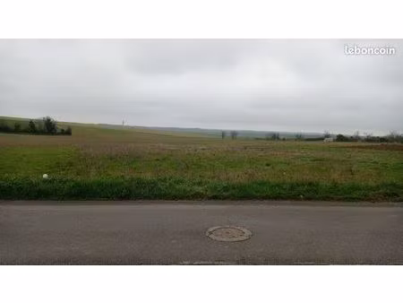 terrain constructible