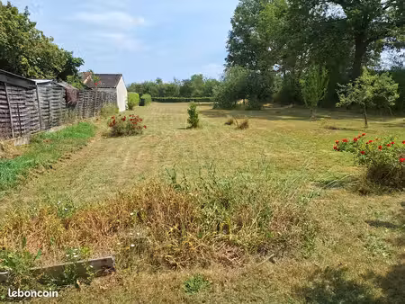 terrain constructible
