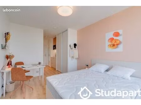 maison 1 pièce 22 m²
