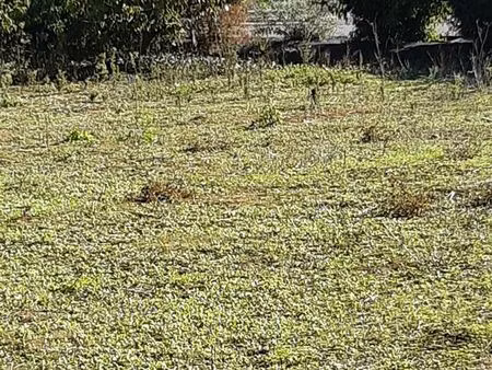 terrain niort