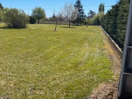 terrain plat arboré
