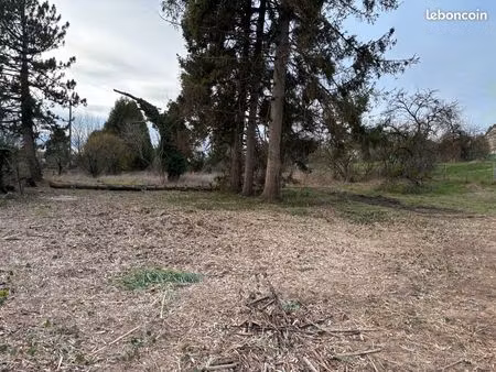 terrain constructible