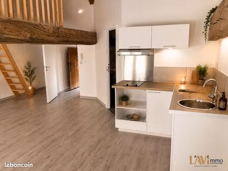 appartement 1 pièce 42 m²