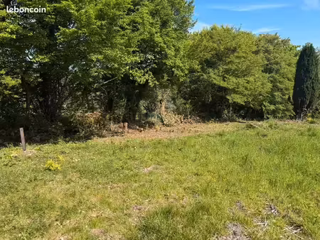 terrain 3 250 m² saint martin du vivier
