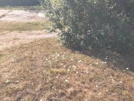 terrain constructible