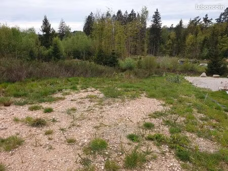 terrain constructible