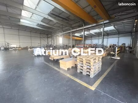 local d'activite 2920 m² cebazat