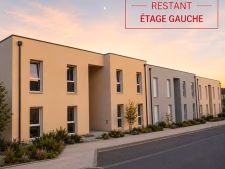 appartement neuf golbey