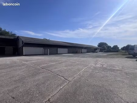 local 200 m² terssac