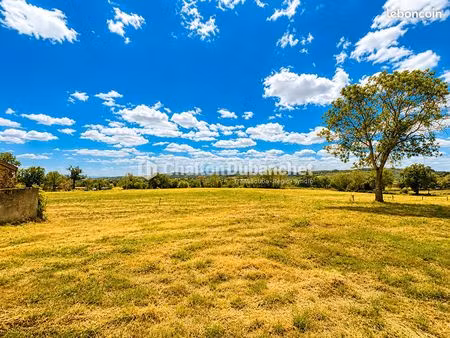 terrain 4576 m² montaiguet en forez