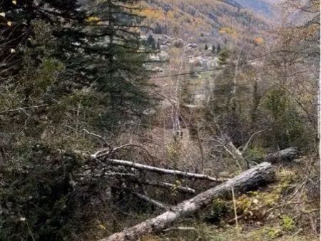magnifique terrain constructible à colmars proche allos