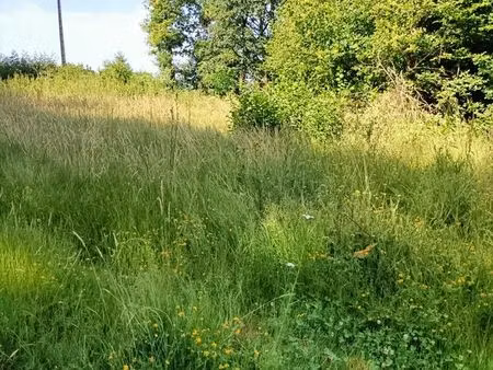 terrain 2 hectares proche de verneuil-sur-vienne