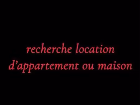 recherche location appartement