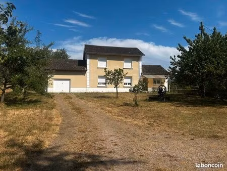 exclusivité maison ancienne en bon état à cusset avec 18 026 m² de terrain – piscine et gr