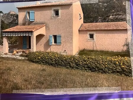 vente maison individuelle